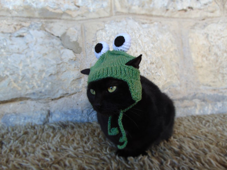 Frog Hat for Cat Frog Pet Costume Cat Accessories Kitten Etsy
