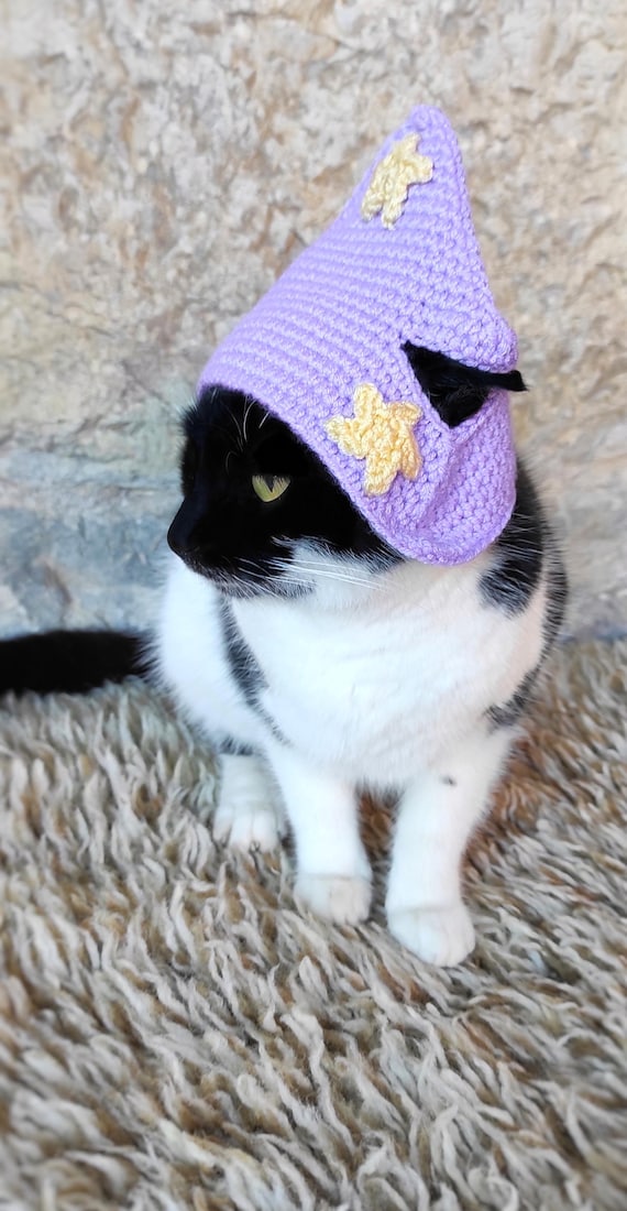 Lad Musician　shaggy cat hat Lad Musician shaggy cat hat