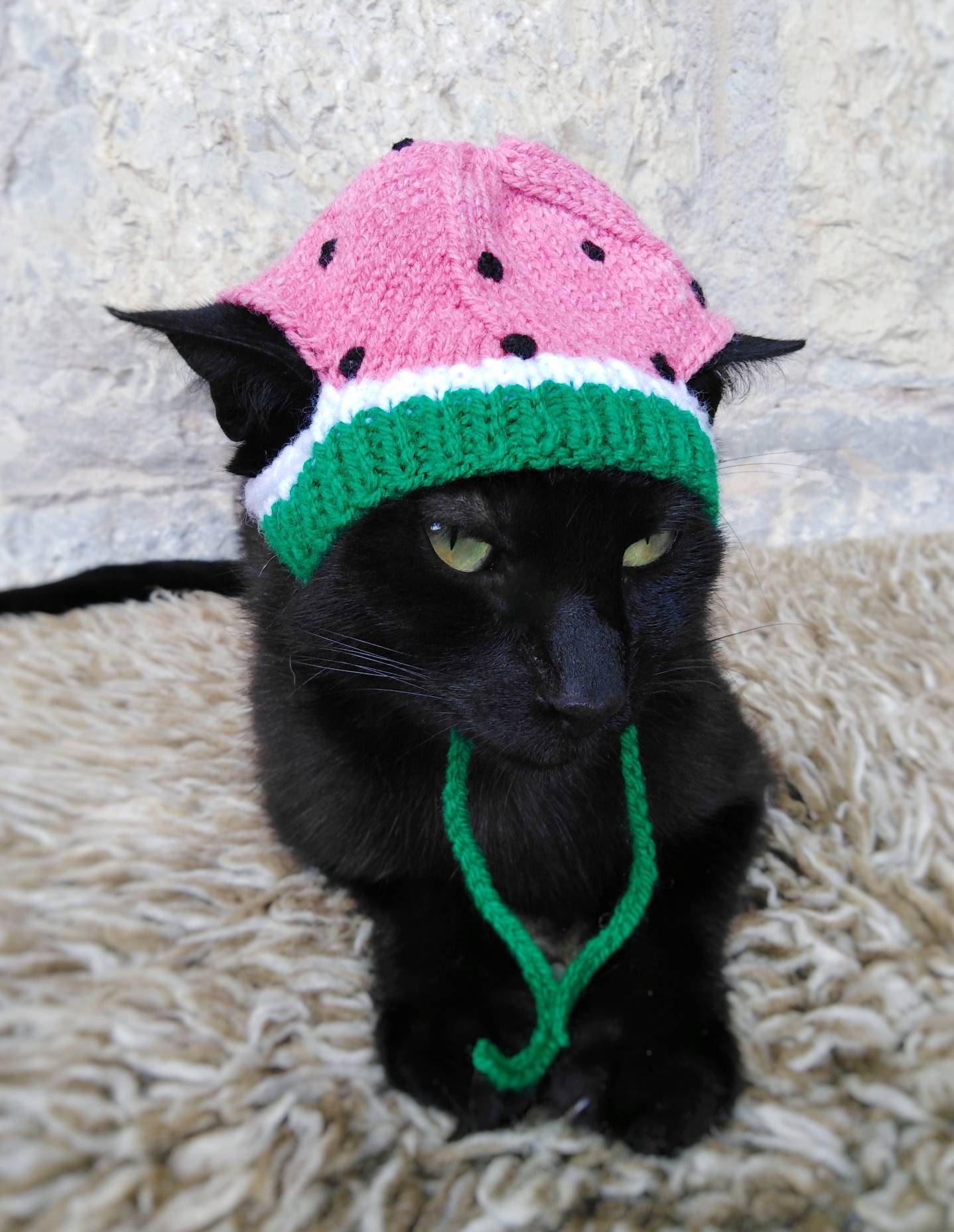 Watermelon Hat for Cat Knitted Watermelon Pet Costume Cat Etsy