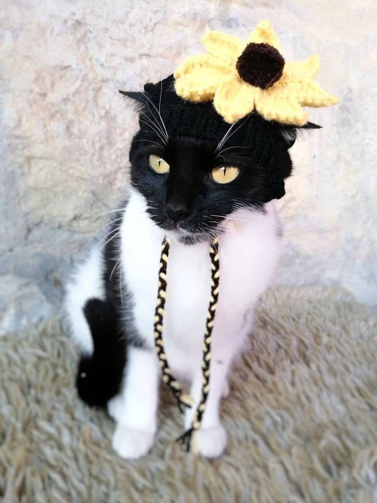 Sunflower Hat for Cat Knitted Sunflower Pet Costume Cat Etsy