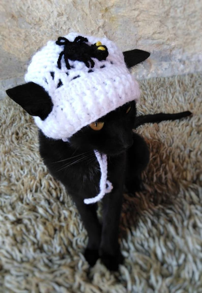 Gift for Cat Lover Spider hat for kitten Spider Hat for Cat,Halloween pet costume Cat Accessories