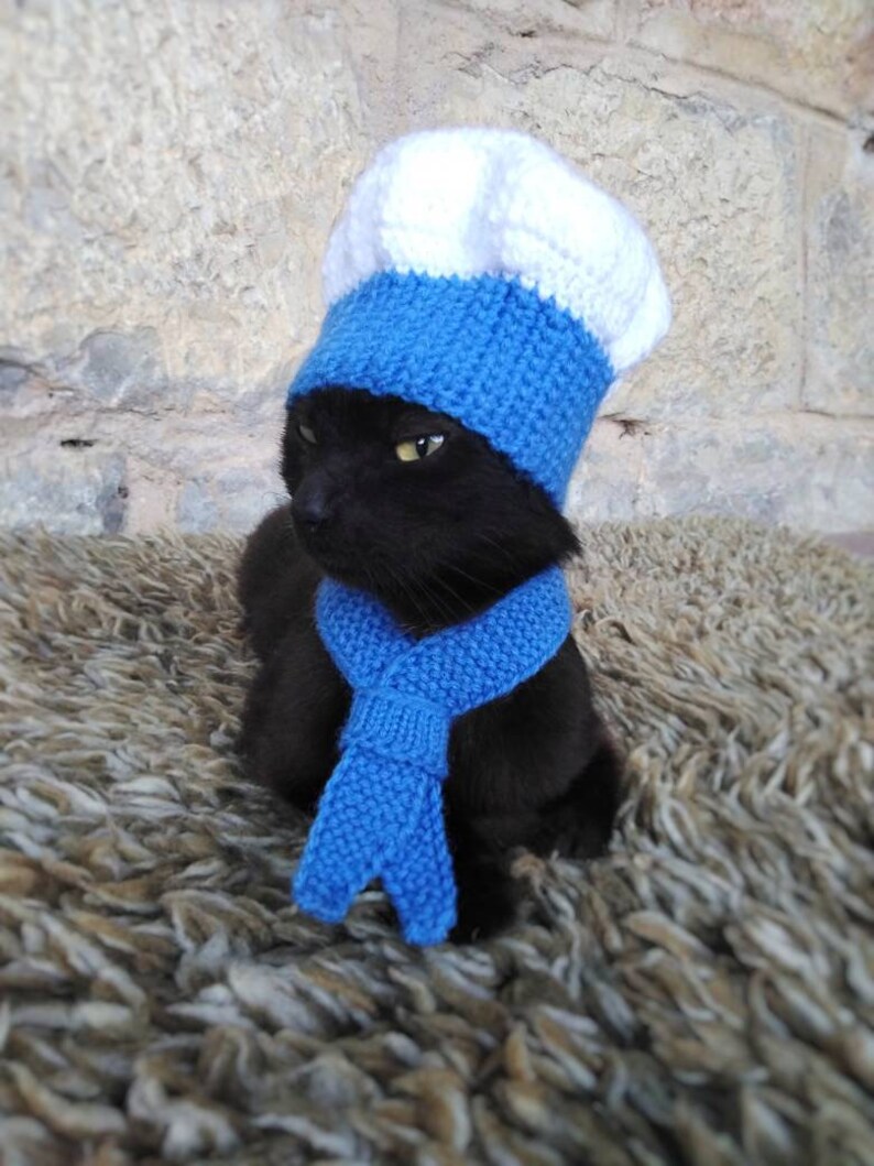 Chef Cat Costume Hat and Red Scarf Chef Pet Halloween Etsy