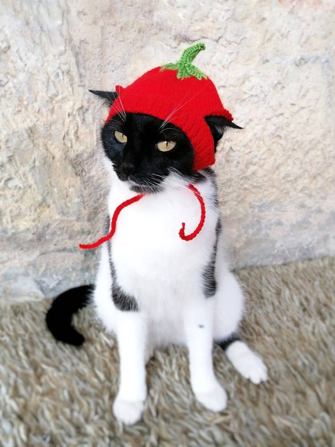 Tomato Cat, Tomato Hat for Cat,hats for Cats,costume for Cats,hats for
