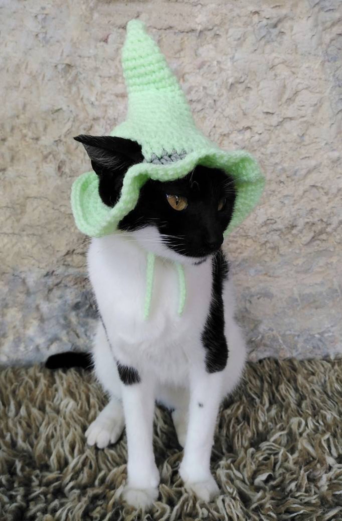 Witch Hat for Cat Neon Green Witch Pet Costume Cat Etsy