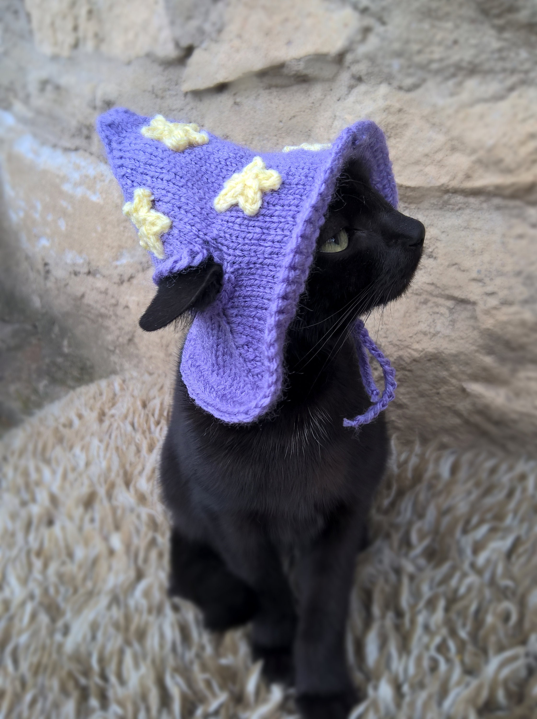 Purple Wizard Cat Hat Wizard Hat for Cat Wizard Hat for Etsy