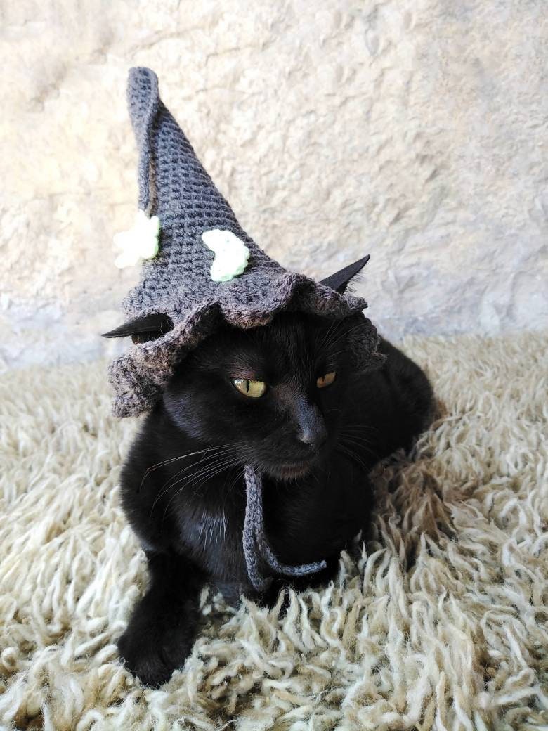 Gray Witch Hat for Cat Pet Costume Cat Halloween Costume - Etsy