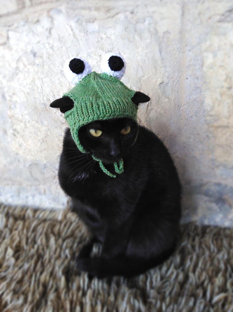 Frog Hat for Cat Frog Pet Costume Cat Accessories Kitten Etsy