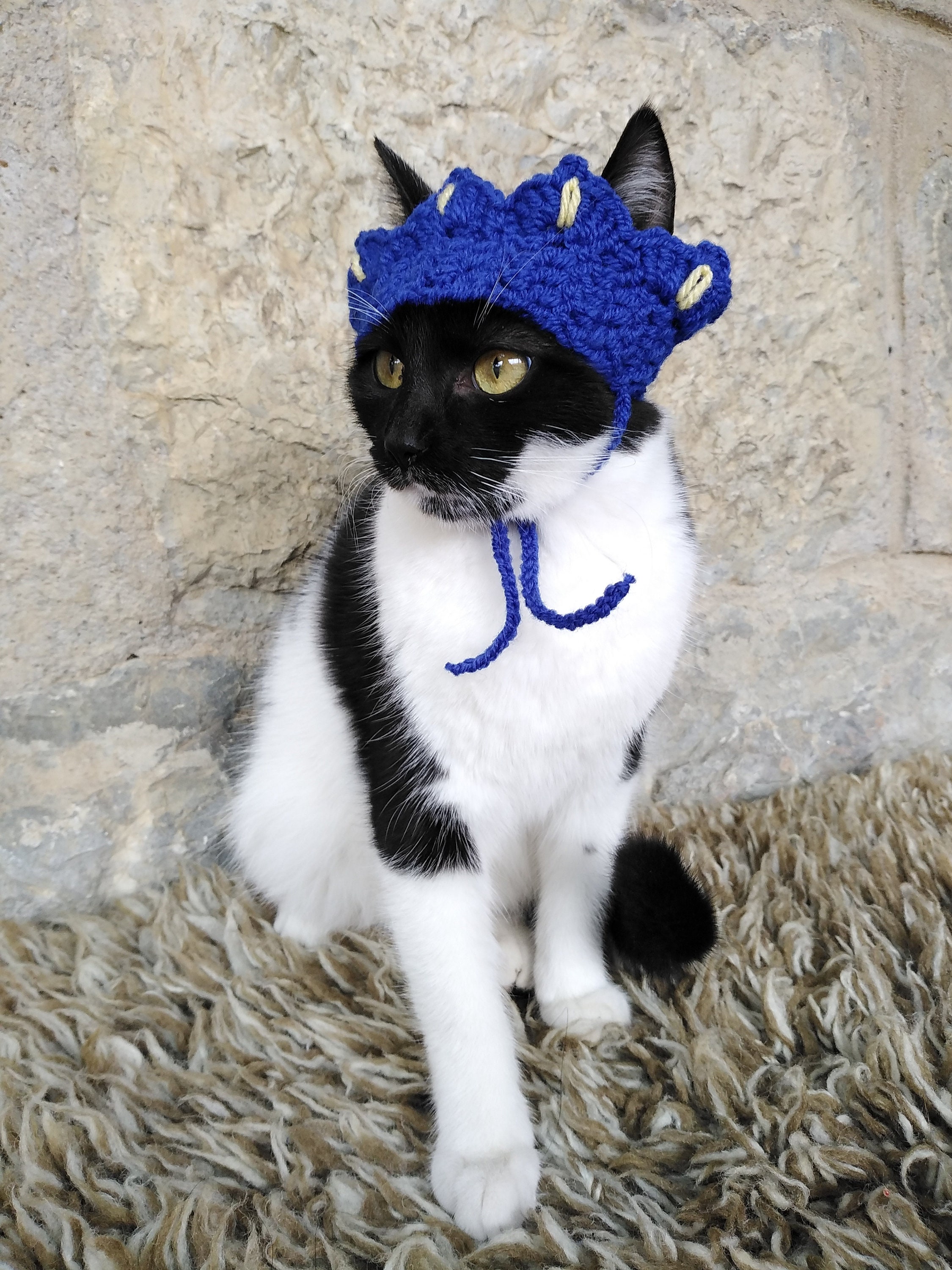 Cat Crown Tiara for Cat Princess King Queen Crown for Etsy