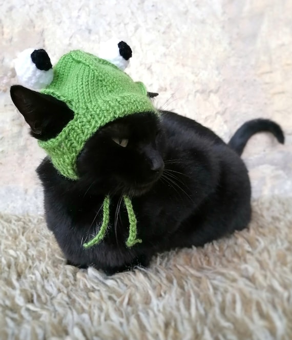 Chapeau De Grenouille Pour Chat Costume Danimal De Compagnie Etsy