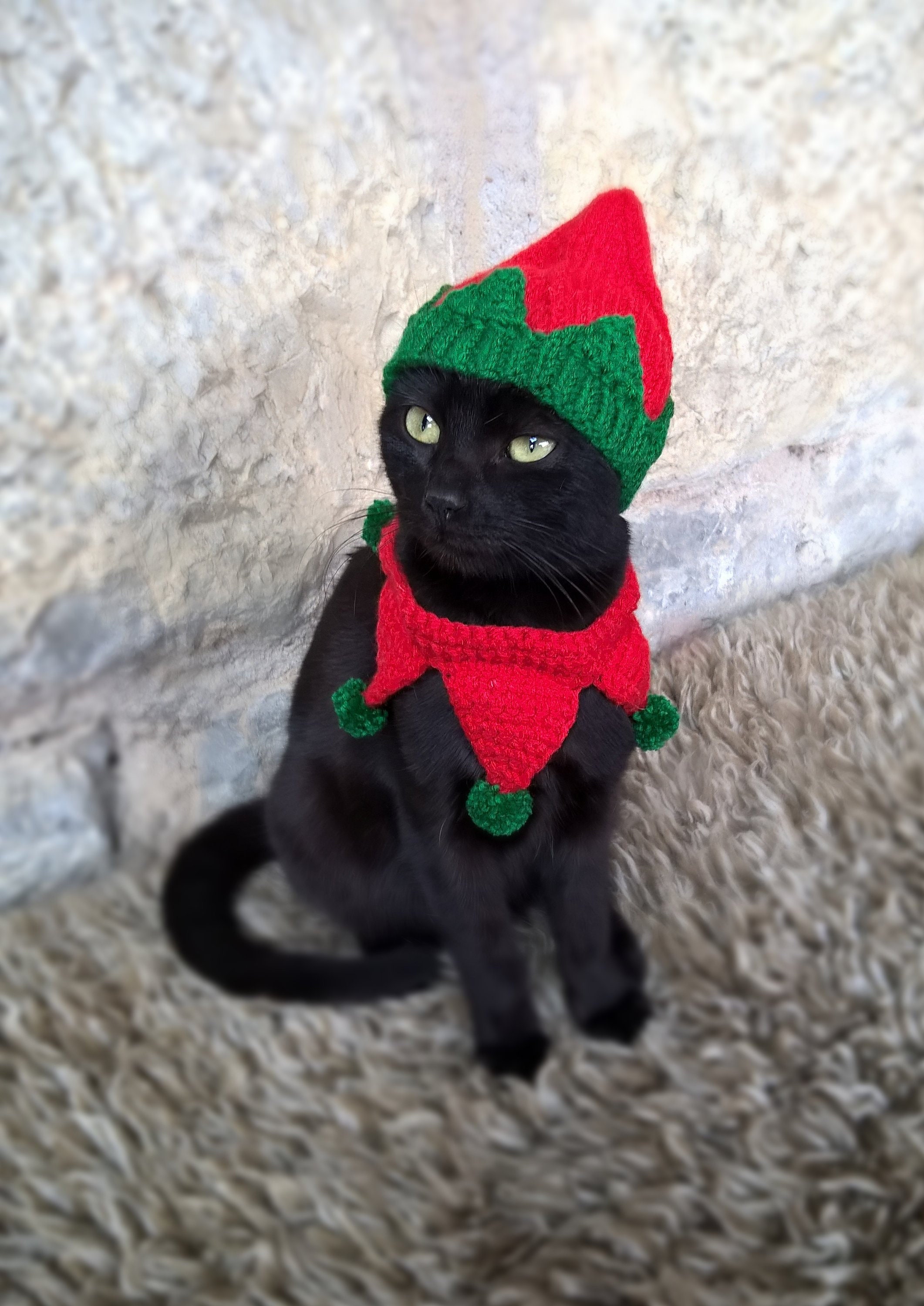 Elf Pet Costume Christmas Costume for Cat Elf Hat for Cats | Etsy