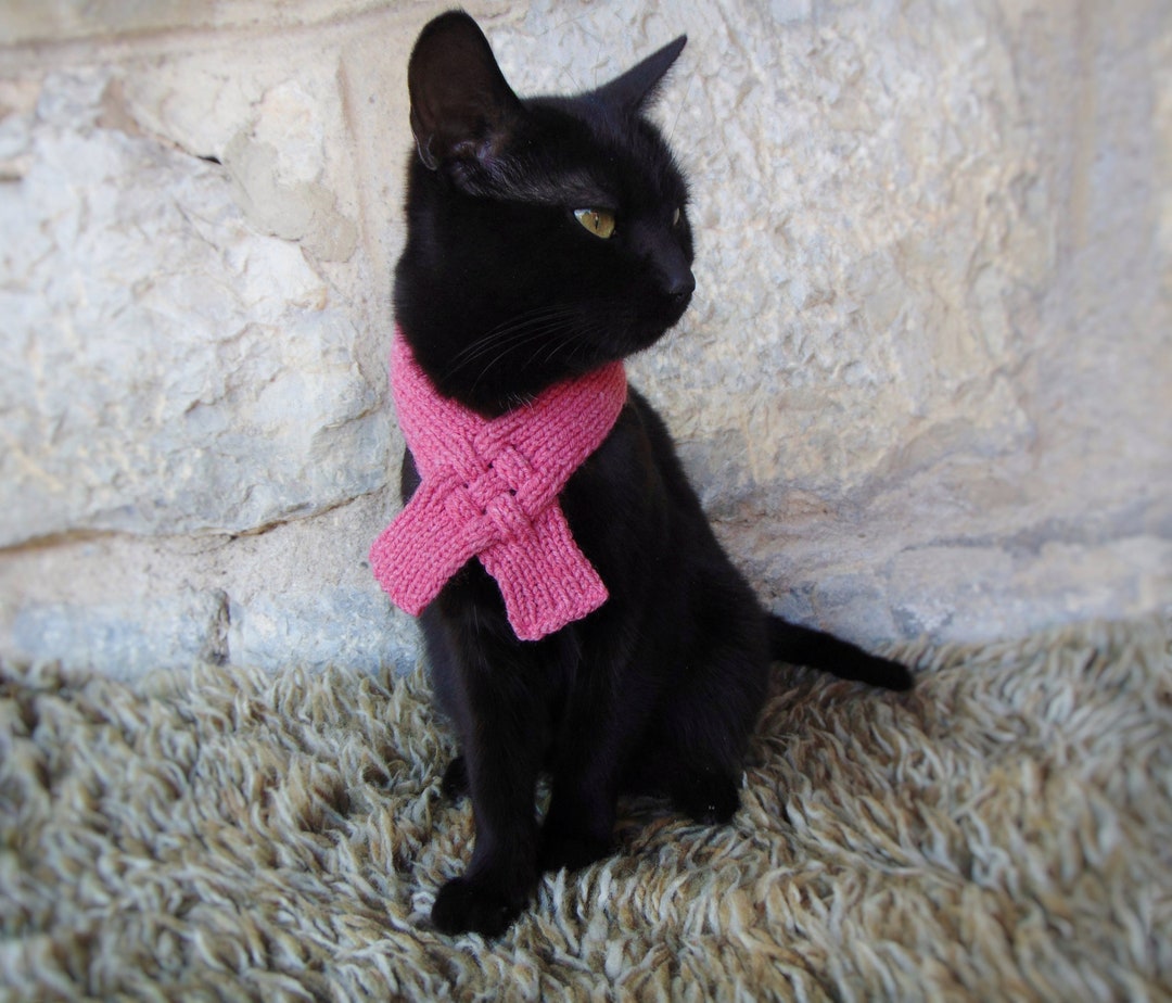 abortar Preguntar León Bufanda para gato bufanda para mascotas accesorios para - Etsy España