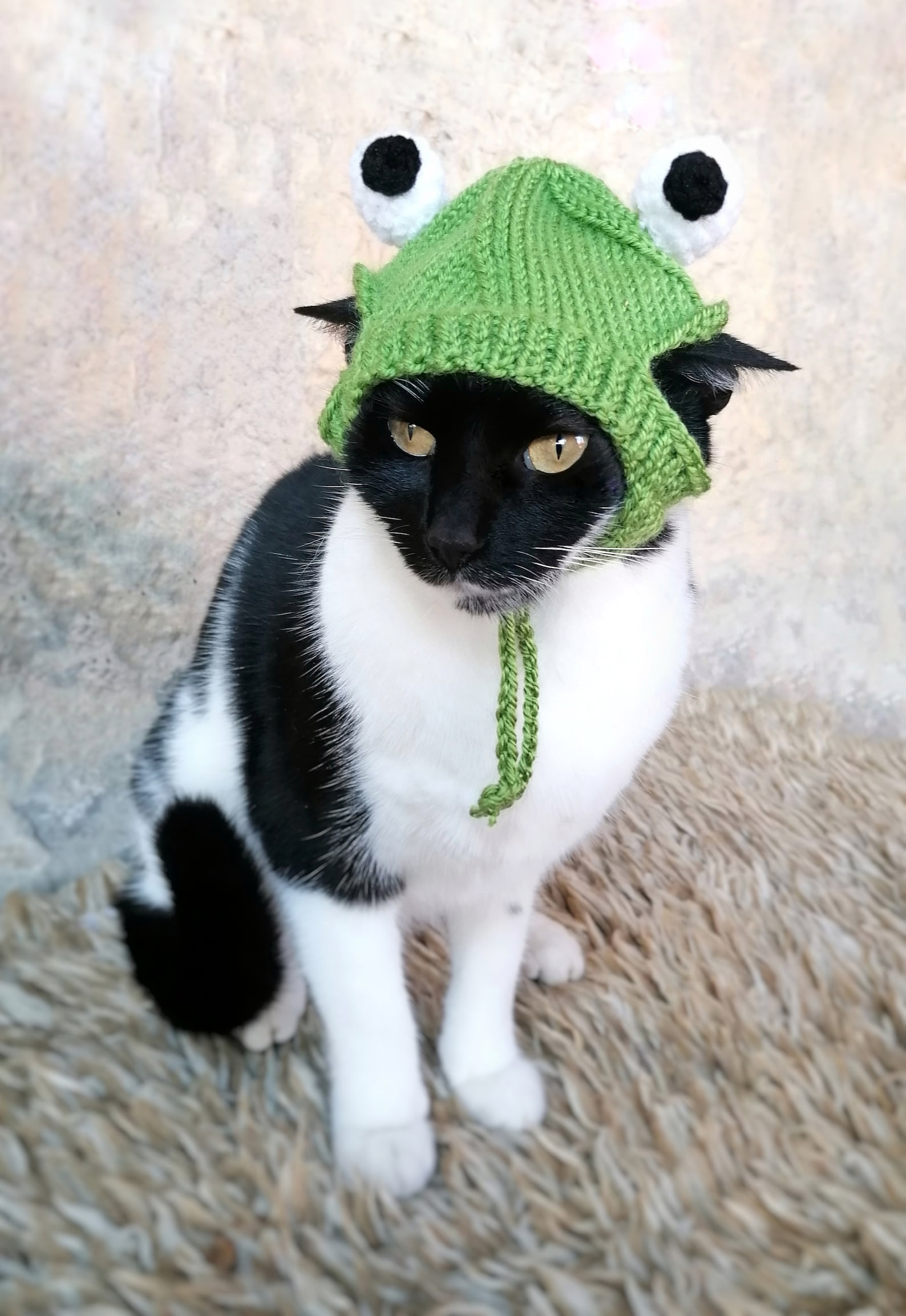 Frog Hat for Cat Frog Pet Costume Cat Accessories Kitten Etsy