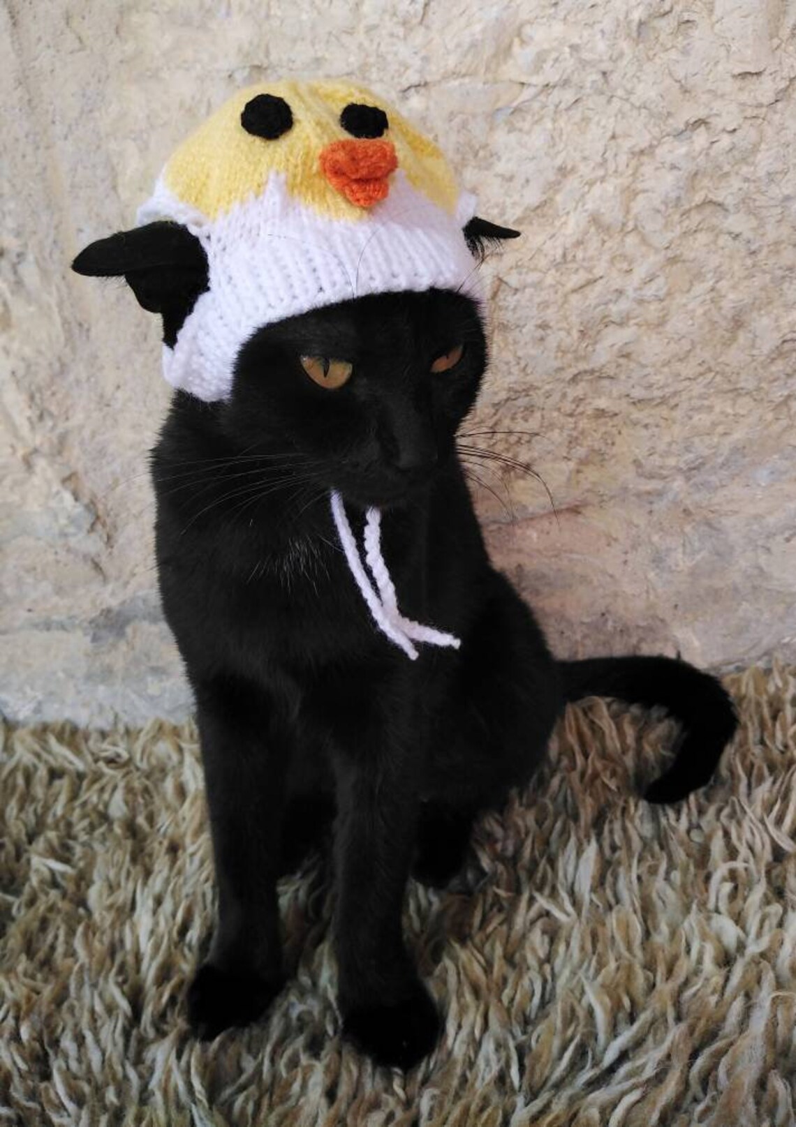 Chicken Easter Hat for Cat Hatching Chick Pet Costume Cat Etsy
