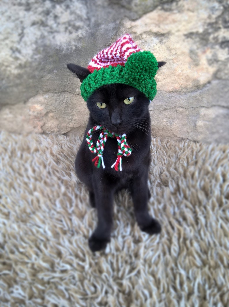 Elf Hat for Cats Cat Elf Costume Christmas Hat for Cat | Etsy