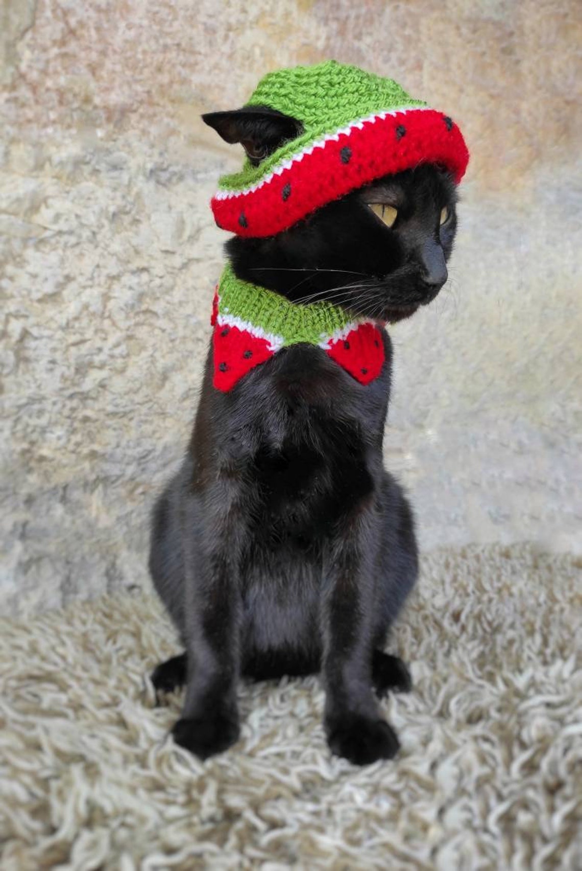 Watermelon Cat Hat Watermelon Hat for CatHat for Cats Etsy