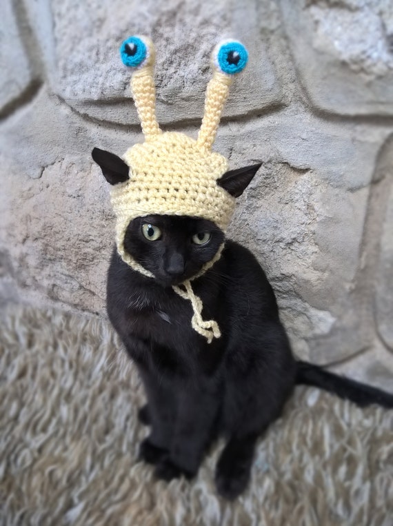 Snail Hat for Cat Pet Snail Costume Gift for Pet Lover | Etsy