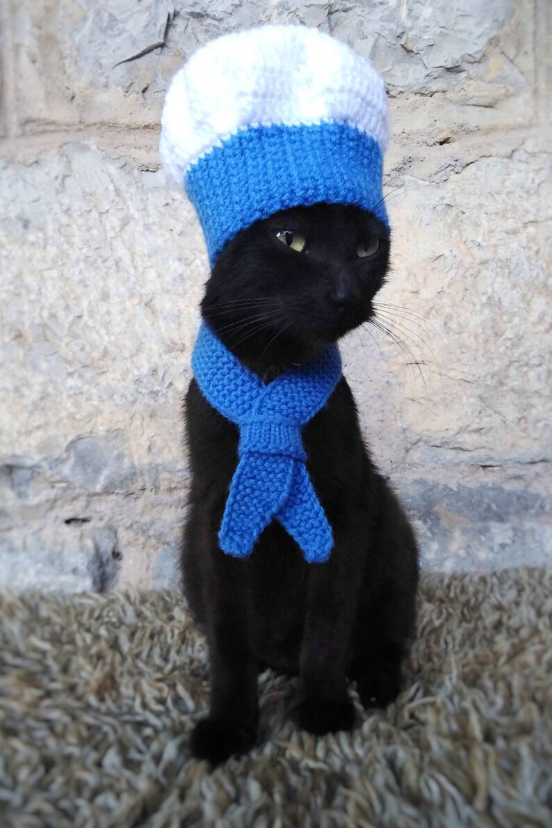 Chef Cat Costume Hat and Red Scarf Chef Pet Halloween Etsy