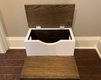 2 Step Stool with storage