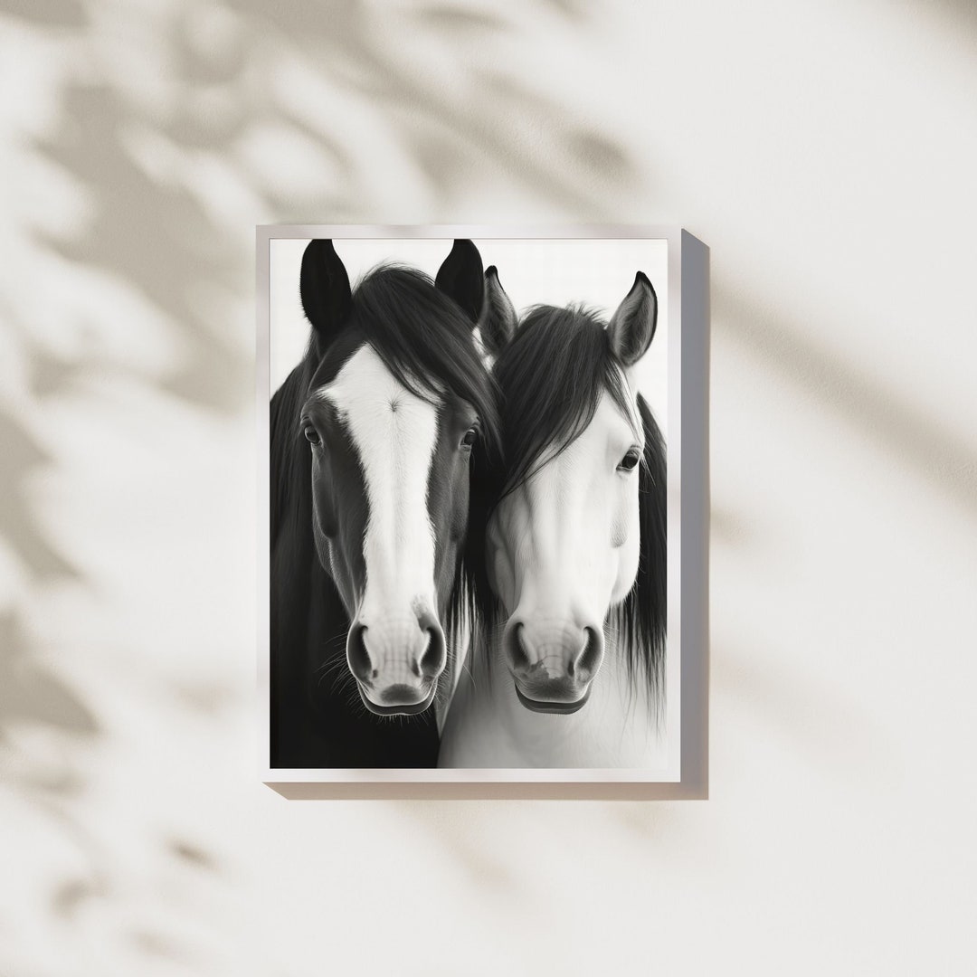 Black and White Horse Art Print Farm Animal Poster for Nursery Room 20