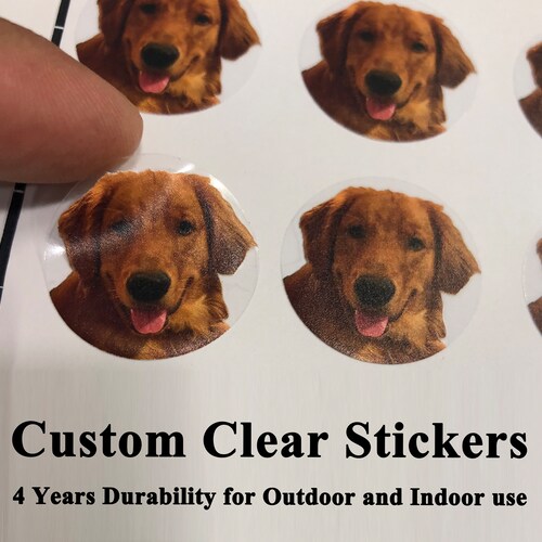 Custom Pet Sticker:  Clear Waterproof labels  Personalized transparent Decals