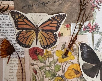 Vintage Butterfly & Botanical Collage Sheet – Printable Ephemera for Journaling, Scrapbooking and Crafting