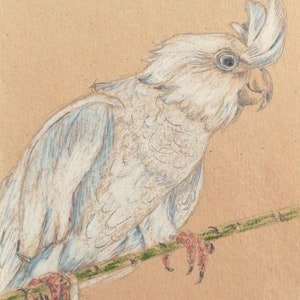 Postkarte
