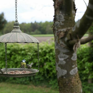 Charmante Hängevogelstation, Vogelfutterhaus MABEL im Landhaus Stil Bild 2