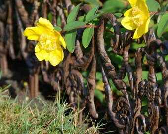 Zauberhafter Beetzaun SOMMERWIND , Beetbegrenzer aus Gusseisen