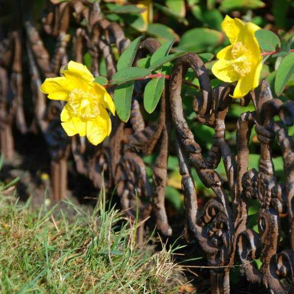 Zauberhafter Beetzaun SOMMERWIND , Beetbegrenzer aus Gusseisen