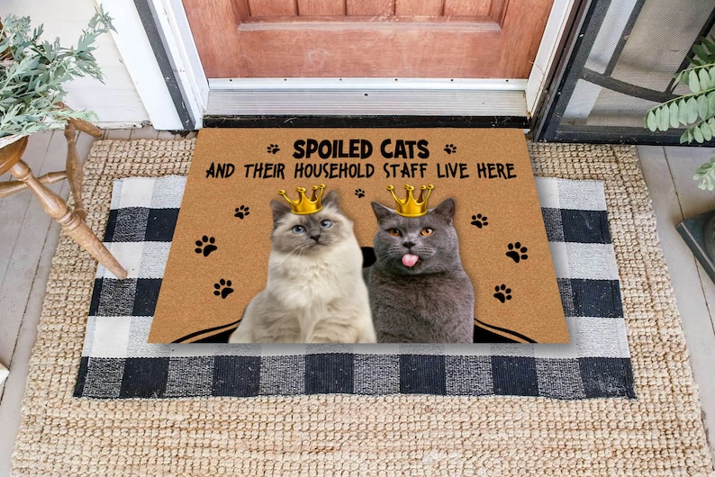 Funny Cat Doormat Custom Cats Photo Mat Personalized Etsy