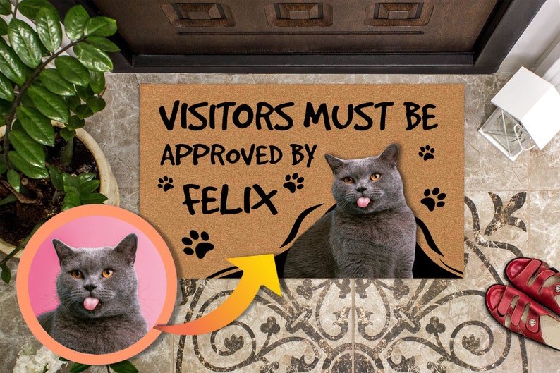 Funny Personalized Cat Doormat Visitors must be approved