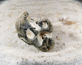 Chicken god, flint, hole stone, lucky stone, protective stone, healing stone, protection stone, stone natural stone from the beach on the island of Rügen