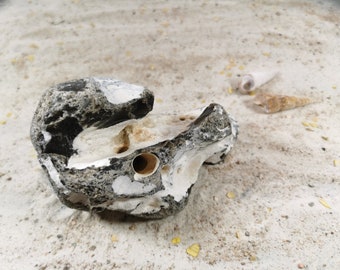 Hühnergott, Feuerstein, Lochstein, Glücksstein, Schutzstein, Heilstein, protection stone, stone natürlicher Stein vom Strand der Insel Rügen