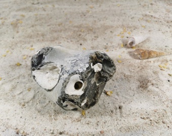 Chicken god, flint, hole stone, lucky stone, protective stone, healing stone, protection stone, stone natural stone from the beach on the island of Rügen