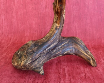 Treibholz, Schwemmholz, Drift Wood, Holz-Kunst, Wohnraum-Accessoire, Skulptur, Holz-Deko, Deko aus Holz, Bastelbedarf, Heimwerken