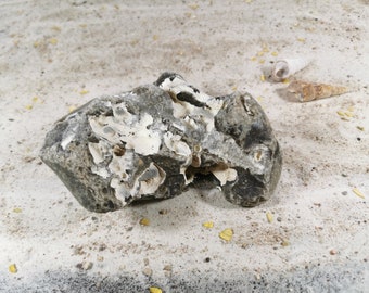 Chicken god, flint, hole stone, lucky stone, protective stone, healing stone, protection stone, stone natural stone from the beach on the island of Rügen