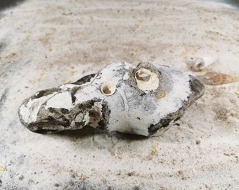 Chicken god, flint, hole stone, lucky stone, protective stone, healing stone, protection stone, stone natural stone from the beach on the island of Rügen