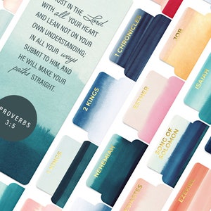 OFFILICIOUS Watercolor Bible Book Tabs, 100 Soft-Touch, Gold-Foiled, Pink and Blue Laminated Tabs, Protestant & Catholic Tabs Large Print