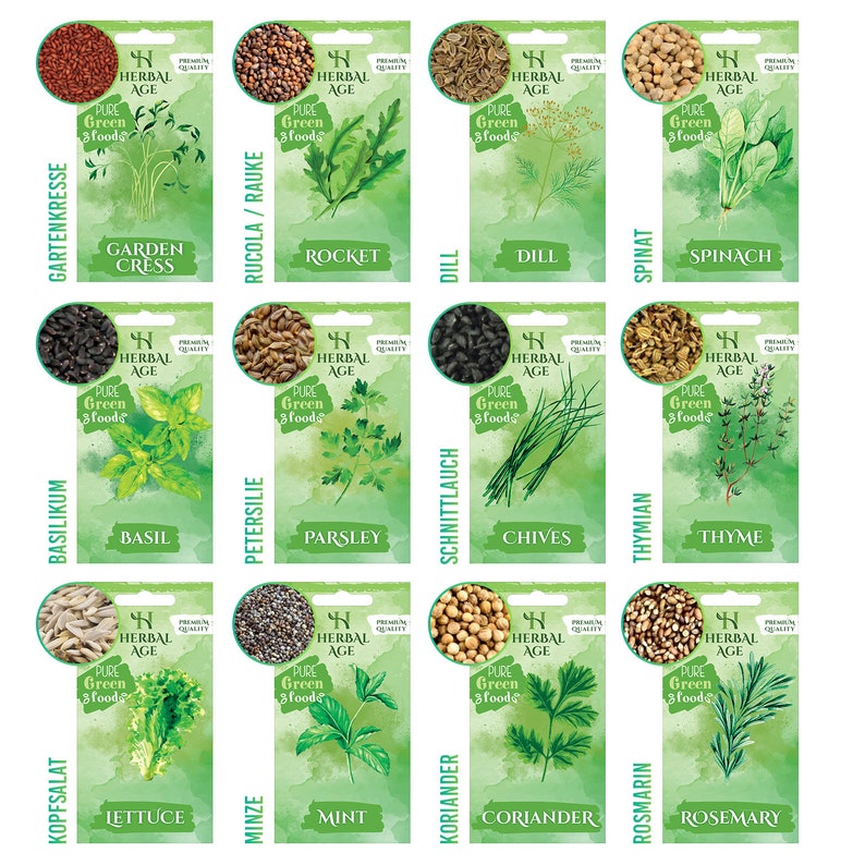 Kräuter Pflanzen Samen Paket 12 Kräuter Sorten, 8700 Kräuter Samen zu wachsen Mischung Saat Geschenk für Gärtner. Bild 2