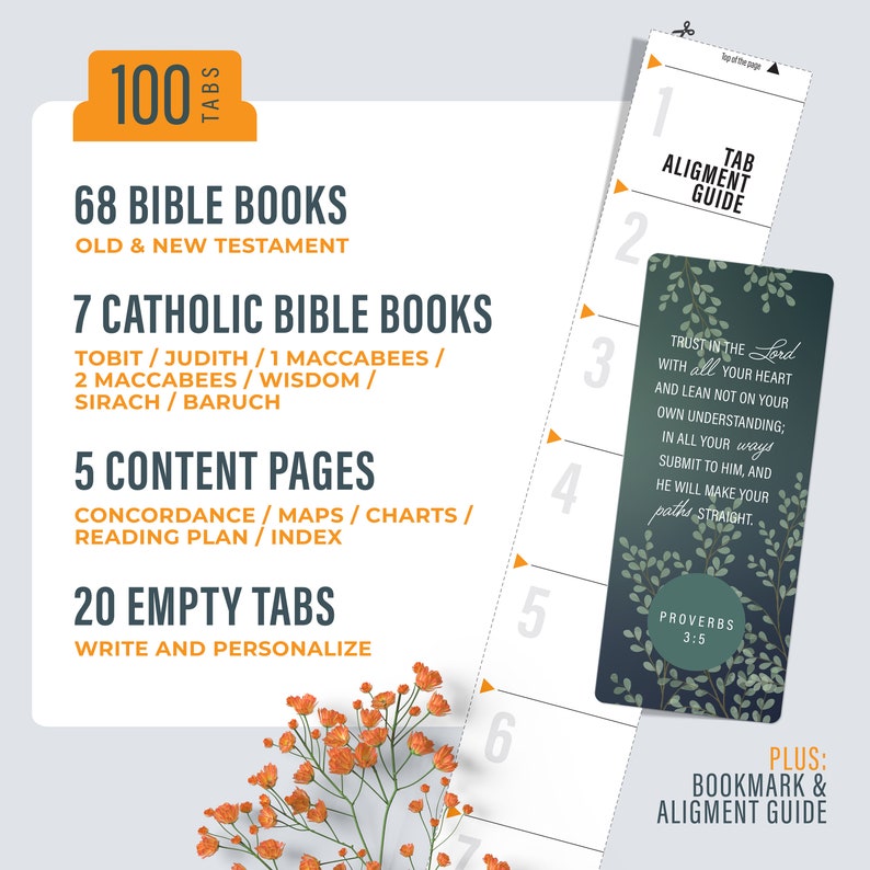 Puede incluir: Un conjunto de 100 pesta&ntilde;as para una Biblia, con 68 pesta&ntilde;as para los libros del Antiguo y Nuevo Testamento, 7 pesta&ntilde;as para los libros de la Biblia cat&oacute;lica, 5 pesta&ntilde;as para las p&aacute;ginas de contenido y 20 pesta&ntilde;as vac&iacute;as para personalizar. Las pesta&ntilde;as est&aacute;n numeradas del 1 al 7, con un marcador y una gu&iacute;a de alineaci&oacute;n incluidos.