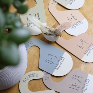 May include: Set of ten wooden hangers with different age ranges printed on them, from newborn to 18-24 months. The hangers are painted in various pastel colors, including light blue, light green, and light pink. Each hanger has a hook at the top and a cut-out shape in the middle.