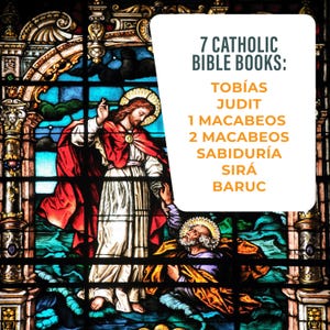 Boho Spanish Catholic Bible Tabs - Bible Study Supplies for Biblia ...