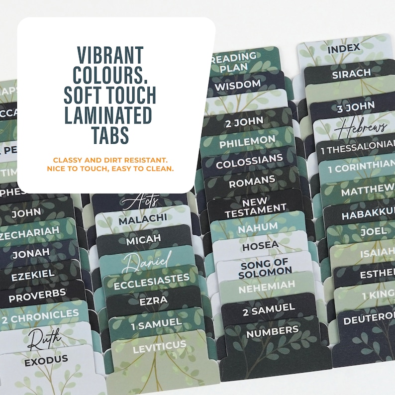 Puede incluir: Un conjunto de pesta&ntilde;as laminadas de colores para una Biblia. Las pesta&ntilde;as est&aacute;n etiquetadas con los nombres de los libros de la Biblia, incluyendo Hechos, Malaqu&iacute;as, Miqueas, Daniel, Eclesiast&eacute;s, Esdras, 1 Samuel, Lev&iacute;tico, 2 Juan, Filem&oacute;n, Colosenses, Romanos, Nuevo Testamento, Nahum, Oseas, Cantar de los Cantares, Nehem&iacute;as, 2 Samuel, N&uacute;meros, 3 Juan, Hebreos, 1 Tesalonicenses, 1 Corintios, Mateo, Habacuc, Joel, Isa&iacute;as, Ester, 1 Reyes, Deuteronomio y Sir&aacute;cides.