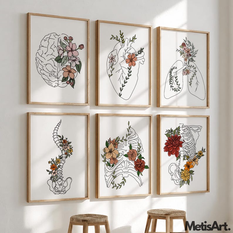 Puede incluir: Seis impresiones art&iacute;sticas enmarcadas que presentan dibujos lineales de anatom&iacute;a humana, incluyendo un cerebro, coraz&oacute;n, pulmones, columna vertebral, caja tor&aacute;cica y esqueleto, cada uno adornado con arreglos florales coloridos. Las impresiones est&aacute;n en marcos de madera.