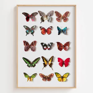 Colorful Butterfly Print Wall Art, Butterfly Poster Download, Butterfly Wall Decal, Butterfly Nursery Wall Decor, Butterfly Art Set, Diptych