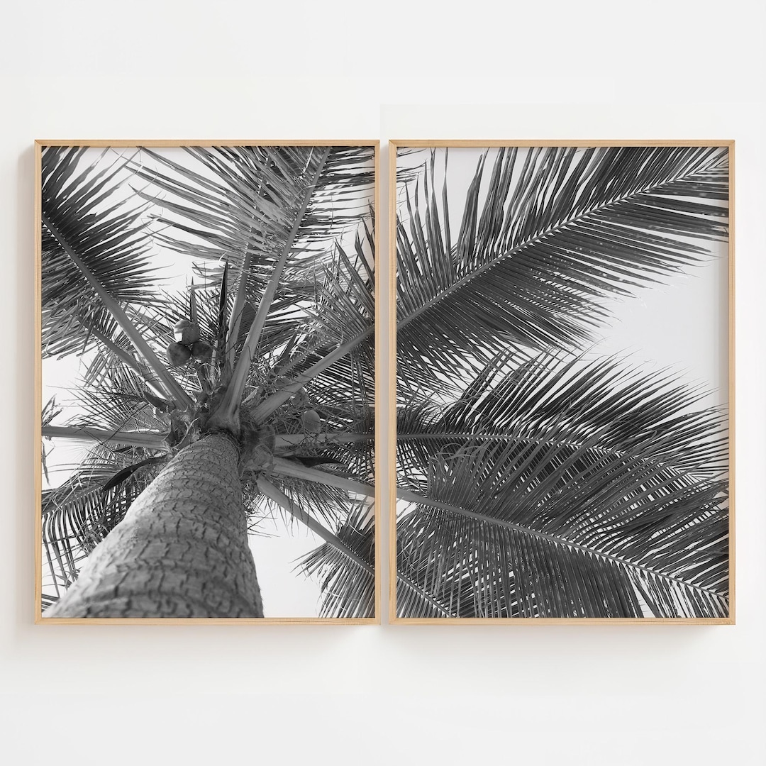 Black and White Palm Tree Print Set: Tropical Boho Wall Art - Etsy