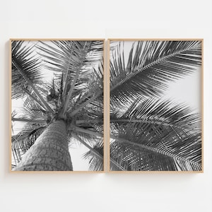Conjunto de 2 impressões de palmeiras, arte de parede tropical em preto e branco, conjunto de pôsteres de fotografia de palmeiras, impressão de arte tropical, conjunto de pôsteres de banheiro boho