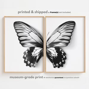 Butterfly Print Set of 2, Black and White, Butterfly Poster Set, Butterfly Wall Art, Nursery Butterfly Art Print, PRINTED and SHIPPED