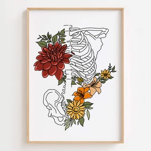 Puede incluir: L&aacute;mina art&iacute;stica enmarcada con un dibujo lineal negro de un esqueleto humano con acentos florales coloridos. Las flores incluyen una dalia roja grande, lirios naranjas y margaritas amarillas, sobre un fondo blanco.