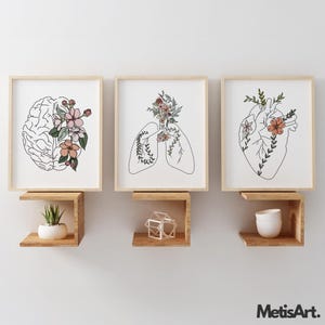 May include: Three framed art prints featuring anatomical illustrations of a brain, lungs, and heart, each adorned with floral accents. The prints are displayed on wooden shelves, with decorative items like a plant and geometric shapes.